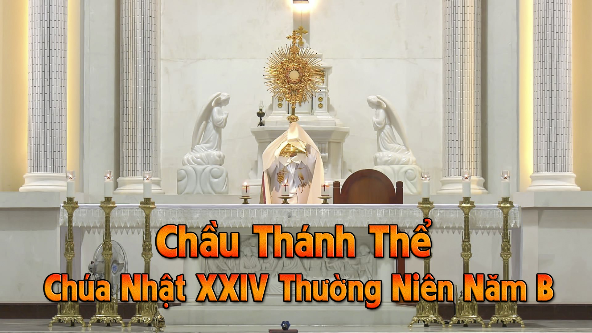 Chầu Thánh Thể - Chúa Nhật XXIV Thường Niên Năm B